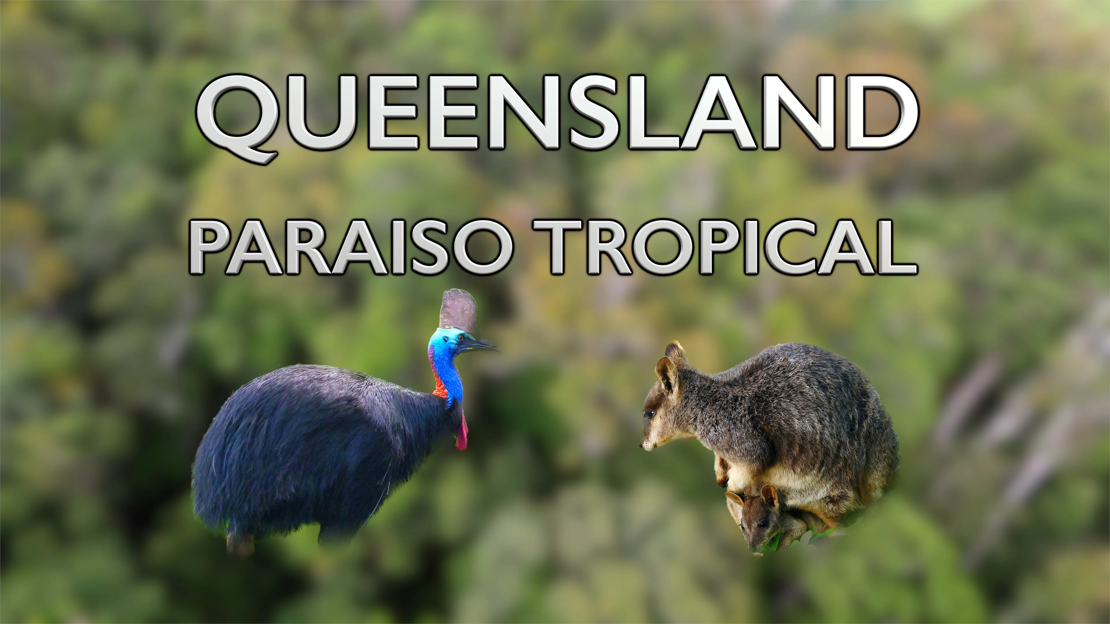 Queensland, Paraíso Tropical poster